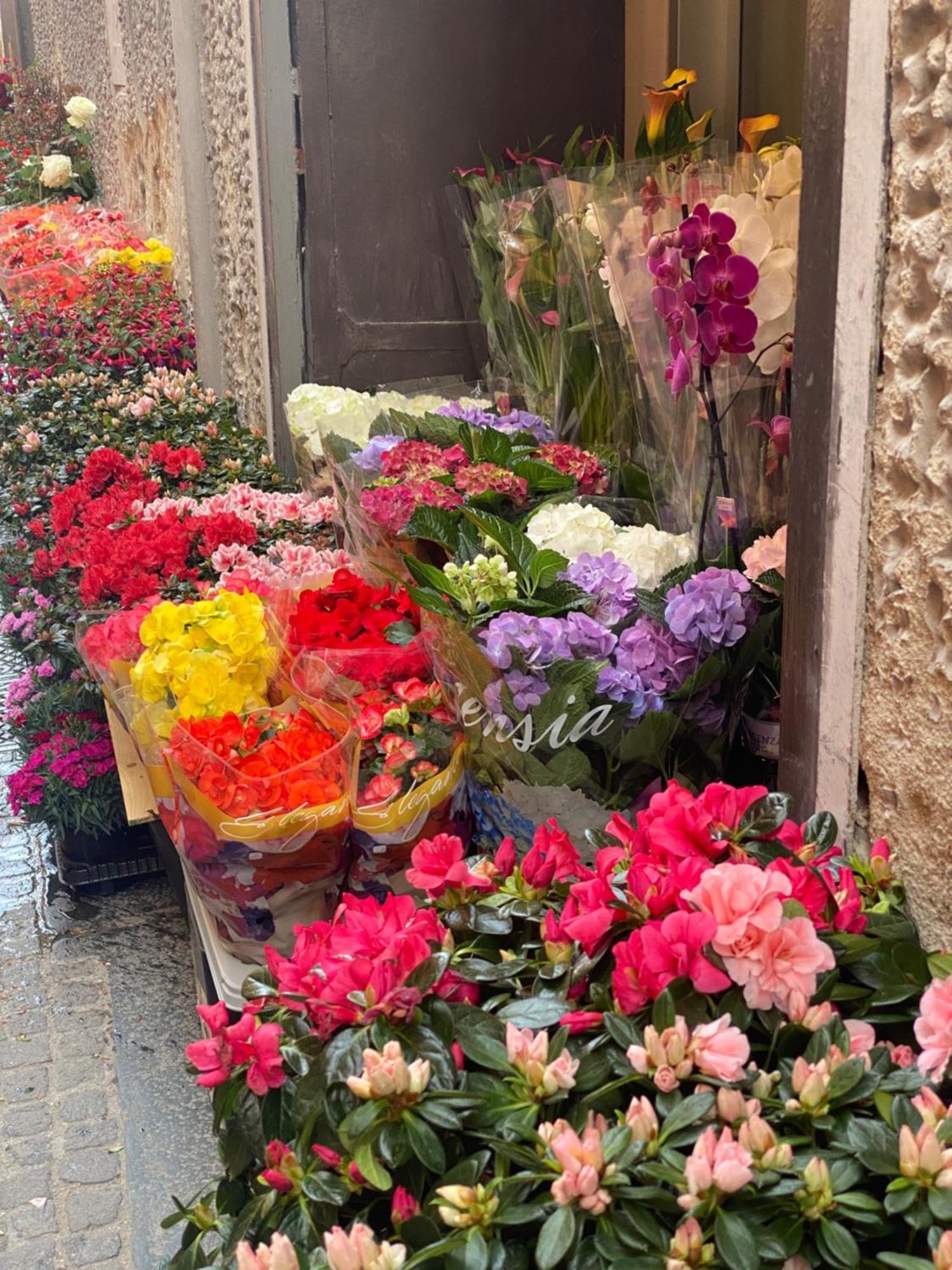 דירות נאפולי Casa Gioia, Tra Palazzo Reale,Lungomare E Monte Echia מראה חיצוני תמונה